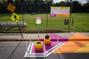 We Love Towanda drop off zone mural loading zone sign, planters, and wayfinding banner