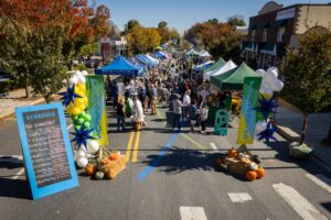 Damascus Placemaking Festival birds eye view of east side entrance gateway banners columns