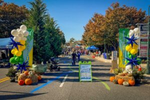 Damascus Placemaking Festival perspective view of west side entrance gateway banners columns