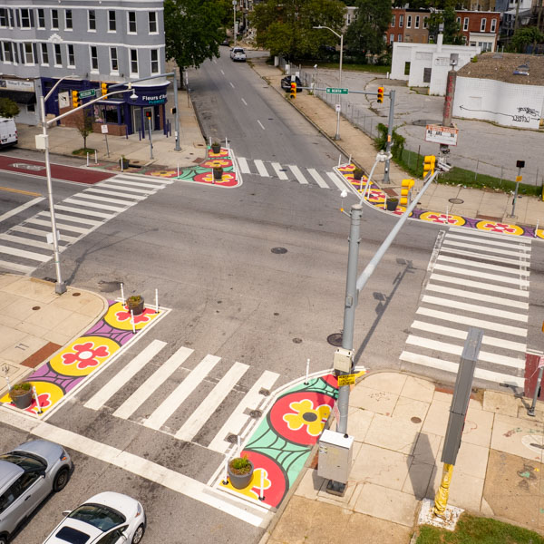 TAPSI Dogwood Delight